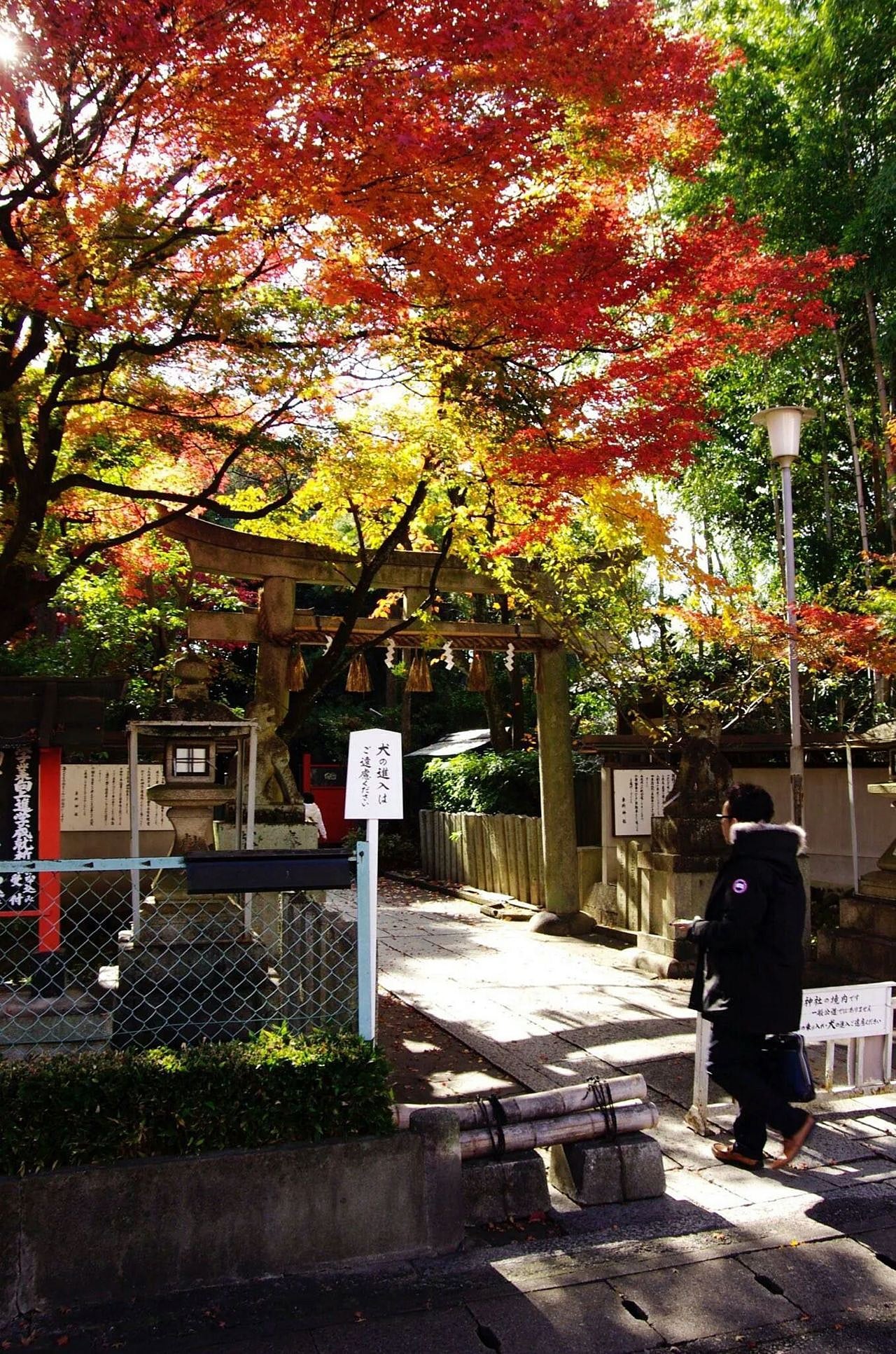 京都嵐山 太秦紅葉ツアー